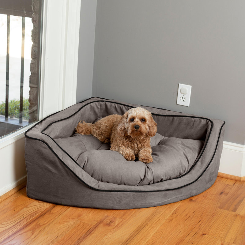 Lit pour chien Snoozer, Moyen (l 25 po x P 25 po x H 12 po), Anthracite