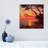 Calme De Soir, Cote D'azur IFC1-1PC6-1554843285