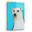 «L'ours polaire mignon» par Lucia Stewart-1773846218