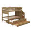 Lit simple superposé simple avec lit gigogne, trois tiroirs de rangement, escalier de rangement et garde-robe-614035306
