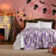Couvertures en molleton doux Betsey Johnson-90579671-115701556