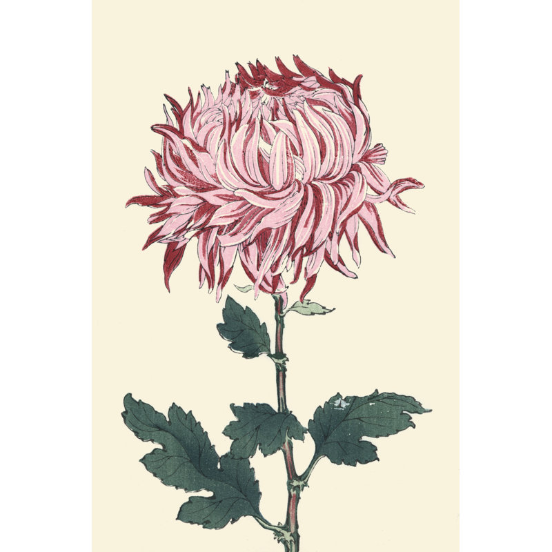 Chrysanthemum Woodblock IV - Art Prints, Black Floater Framed, 46cm H x 30cm W