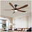 5 Blade Solid Wood 52 Inch Ceiling Fan Light