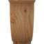 Sapin Douglas-64728062-101899570