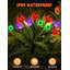 Indoor / Outdoor Lights