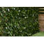 100cm Faux Foliage Hedge