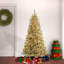 The Holiday Aisle® Arcadia Cashmere Pine Tree with Clear Lights-1868634748