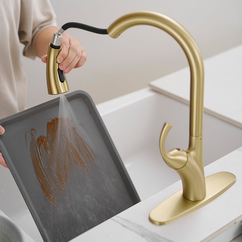 VIBRANTBATH Pull Down Kitchen Faucet, Brushed Gold