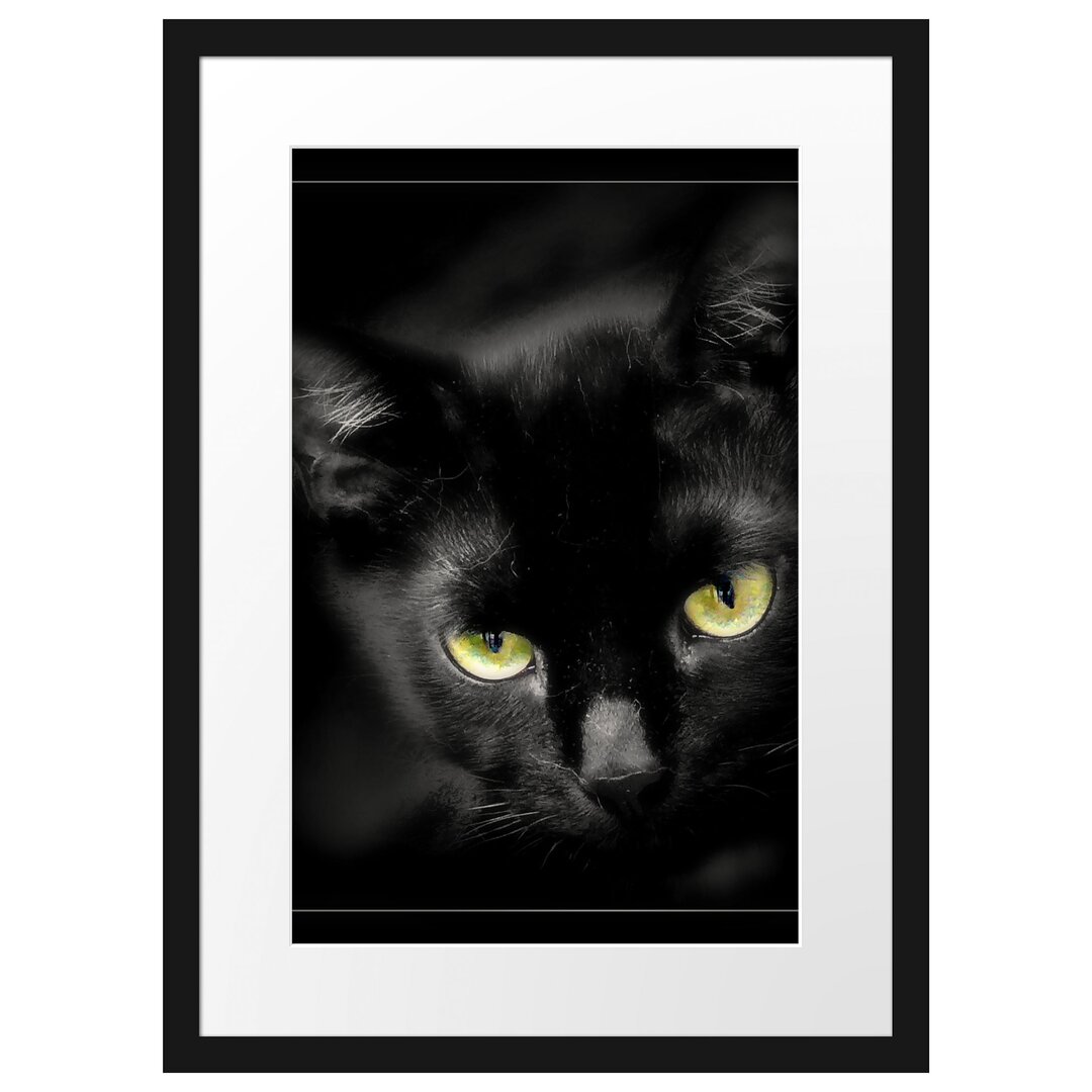 Gerahmtes Poster Schöne schwarze Katze