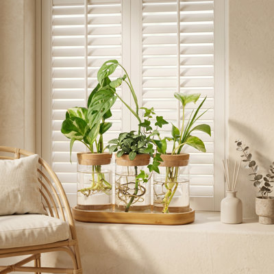 Three-Piece Desktop Water Rooting Glass Vase Set with Airtight Lids and Wooden Stand, Hydroponic Planter for Home Office, Great as a Centerpiece