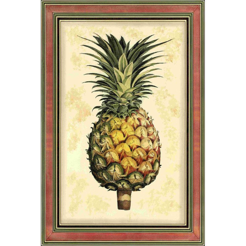 " Printed Pineapple Splendor I " by Vision Studio, 30" H x 20" W  