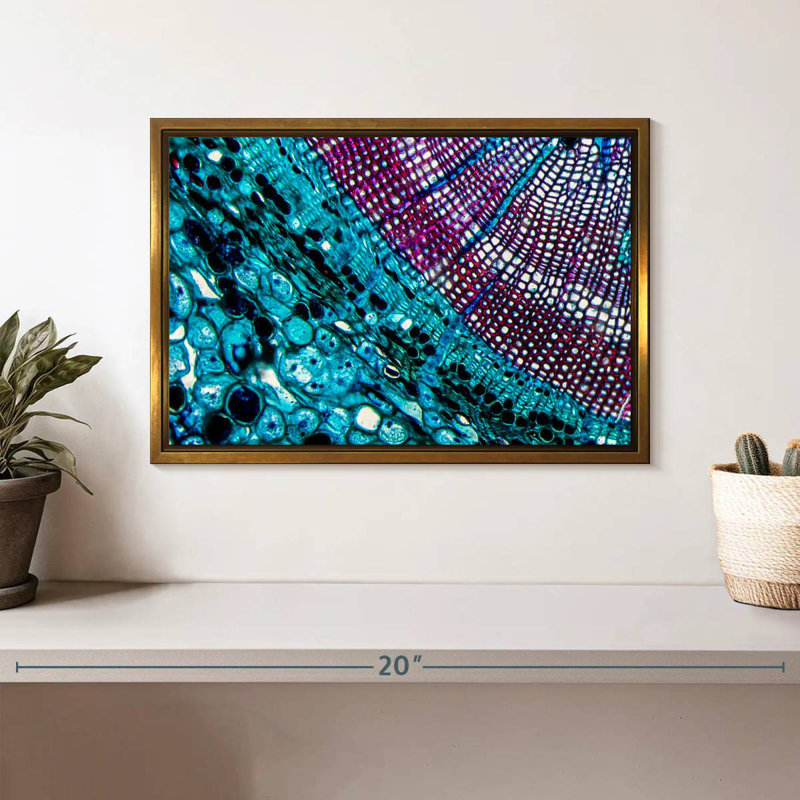 Pine Stem Under Microscope, 13" X 9", Floating Frame Gold