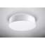 Caple Flush Mount-50605449
