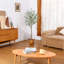 60'' Faux Eucalyptus Tree in Pot