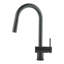 Belfry Kitchen Hockenberry Pull Out Kitchen Faucet