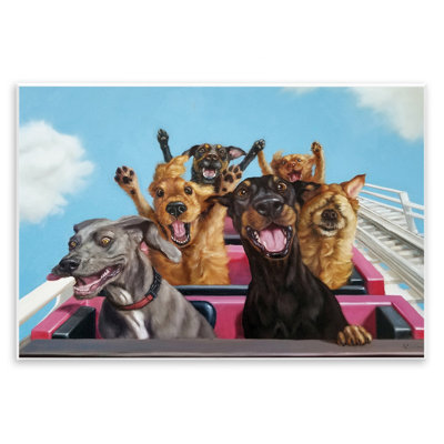 Chiens qui parcourent des montagnes russes avec parc d'attractions