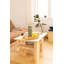 JAPAN COFFEE TABLE CAROB BROWN