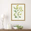 «Wilted Vine I» par Grace Popp, reproduction d'art sur toile encadrée-109561826