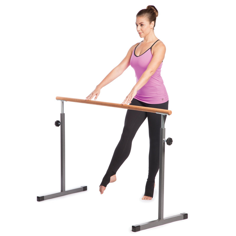 Gofit® Gobarre Workout Set