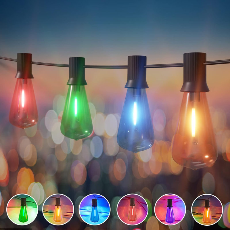 Janulia String Lights