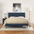 Modway Ruthie Platform Bed with Squared Tapered Legs-38410834-38410832