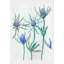 Purple Thistle Print by Jessica Hollander-699733691-693193675