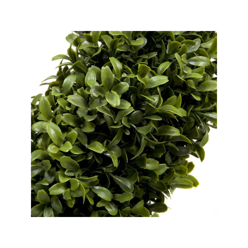 98cm Plant