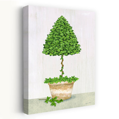 Boxwood Tree Topiary Tree Art