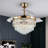 Giuseppa 42.12'' Ceiling Fan with LED Lights