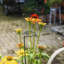 Support pour plantes LeChee
