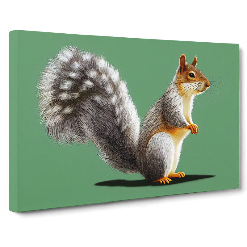 Beauteous Squirrel - Wrapped Canvas Print, 35cm H x 50cm W x 3cm D