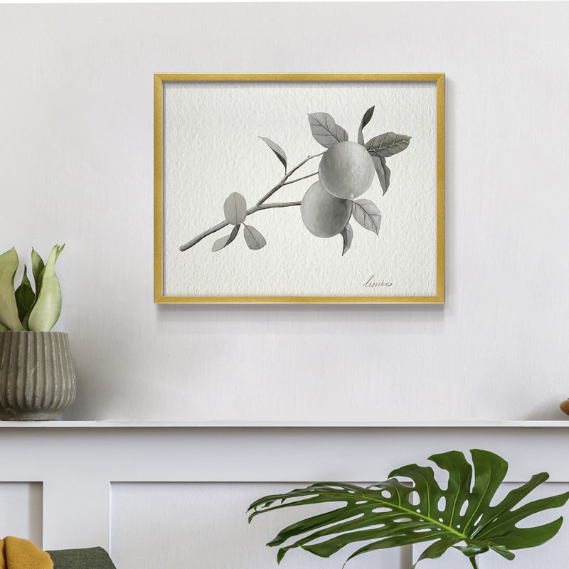 Limonero II -Framed Print - Restickable, 22" H x 28" W