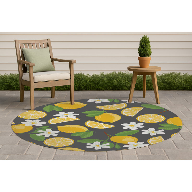 Tapis d'extérieur Lemmie, Gris anthracite, Rond 5 pi