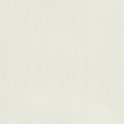 SWATCH-BC-IVORYPVC-101