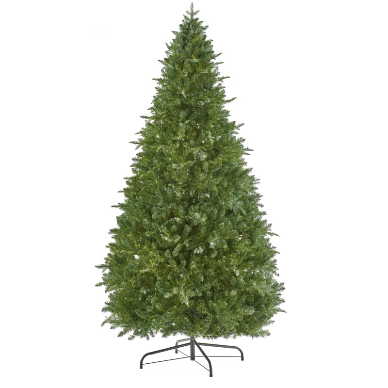 EATON FIR 8.5 H Christmas Tree, 6.5' H, No