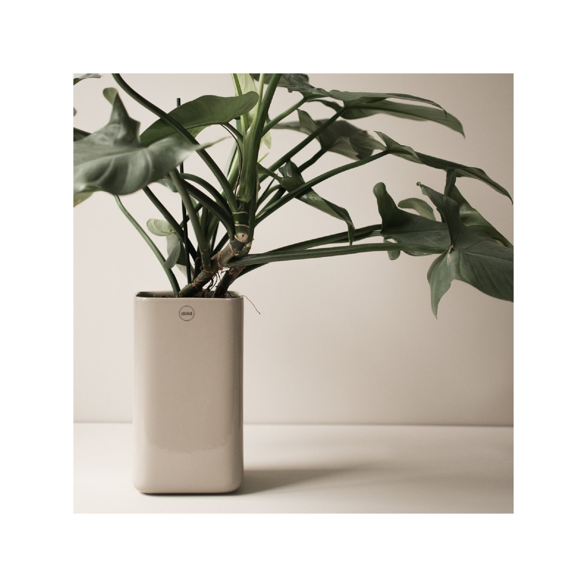 Dan Ceramic Table Vase, Greige, 9.84" H x 5.11" W x 5.11" D