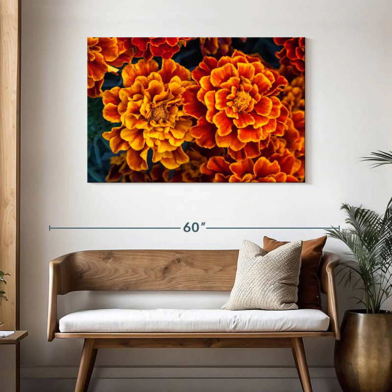 Fleurs de souci Harnek, H 30 po x l 45 po