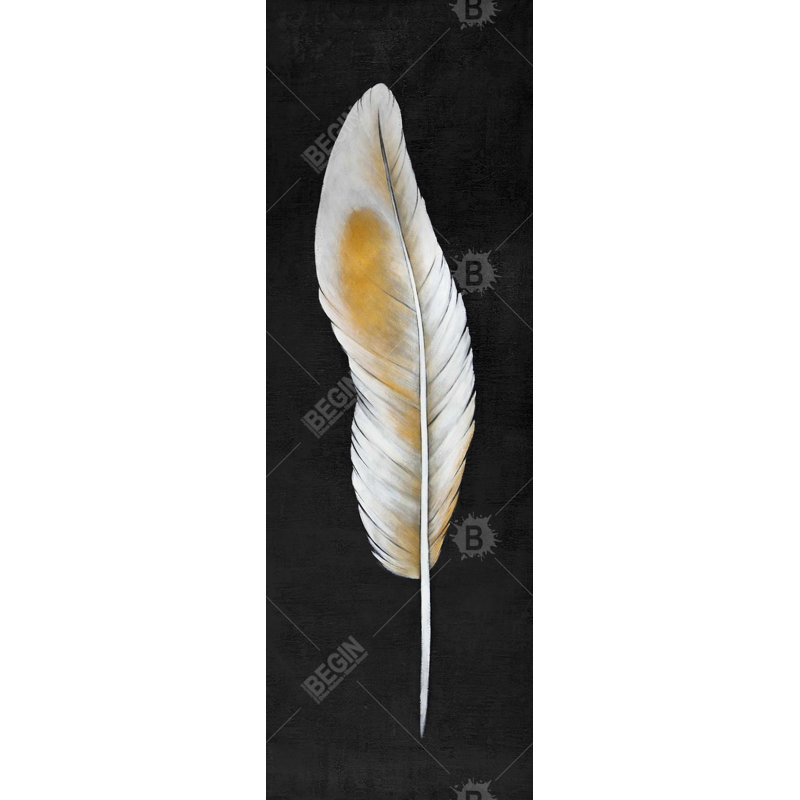 " Feather "