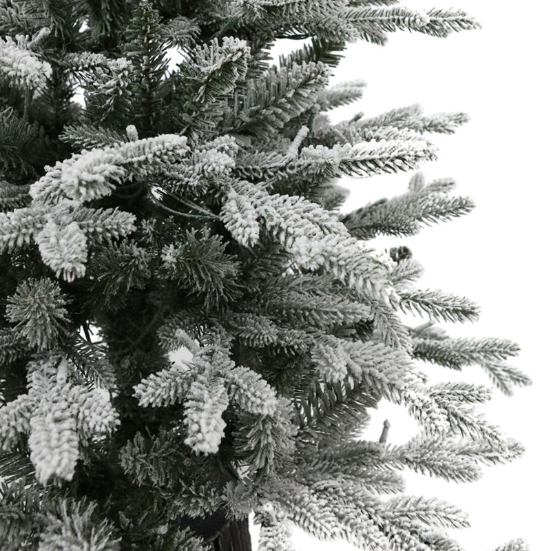 Sapin de Noël illuminé 4 pi avec sapin Fraser