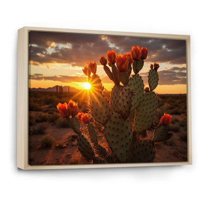 Champ de cactus rouge et vert avec coucher de soleil III - impression