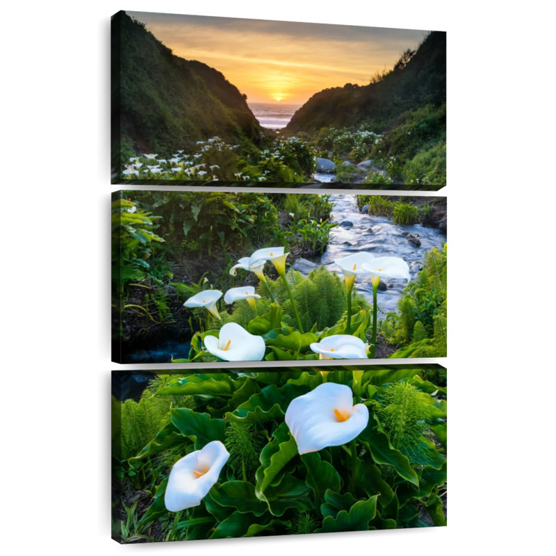 Harnek Calla, vallée des Lys au coucher du soleil, Garrapata SP, H 38 po x l 24 po