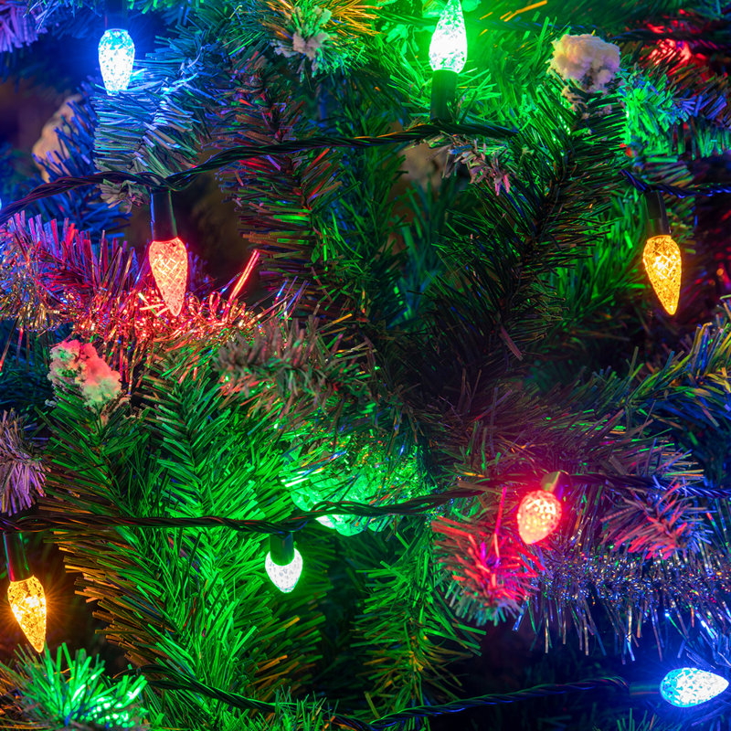 Guirlande de 100 lumières DEL 33 pi C6, Multicolore