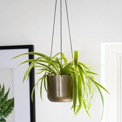 Kew Hanging Planter with Hook