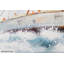 Call Of Adventure Canvas Picture