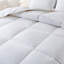 Édredon en duvet d'oie 600-526106115