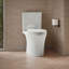 Veil Two-Piece Elongated Toilet With Skirted Trapway 1.28 GPF-2007720308-1953798381