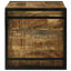 Camp Trunk / Footlocker