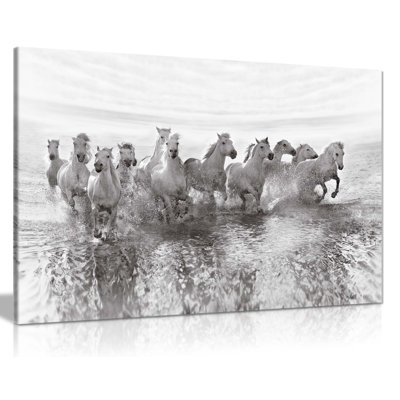Salsify Flowers - Wrapped Canvas Art Prints