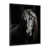 Cadre photo noir