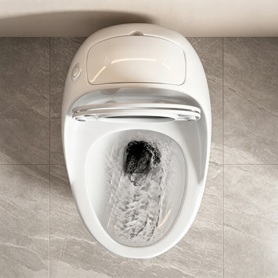 Toilette 12 po à évacuation arrière brute, toilette à chasse d'eau manuelle en céramique, toilette murale à décharge murale pour salle de bain domestique